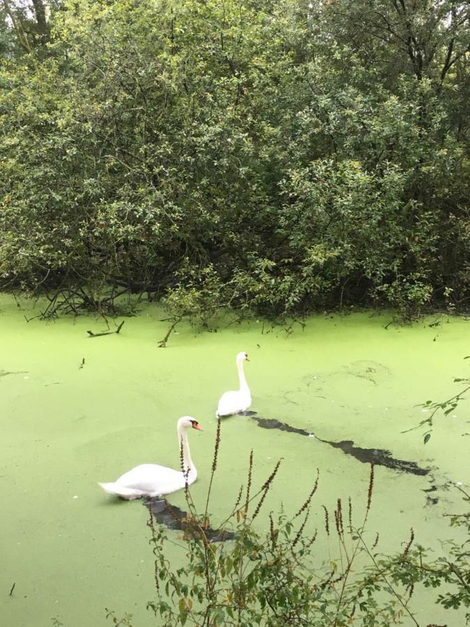 Voel je thuis Zwolle  Buitenkant foto